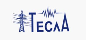 ТОО «Тесла»